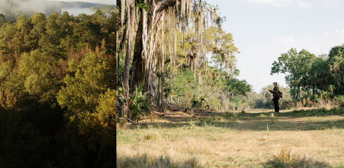 Hunter in camo outfit with GPS device in a sunny field. Misty forest scene on left.