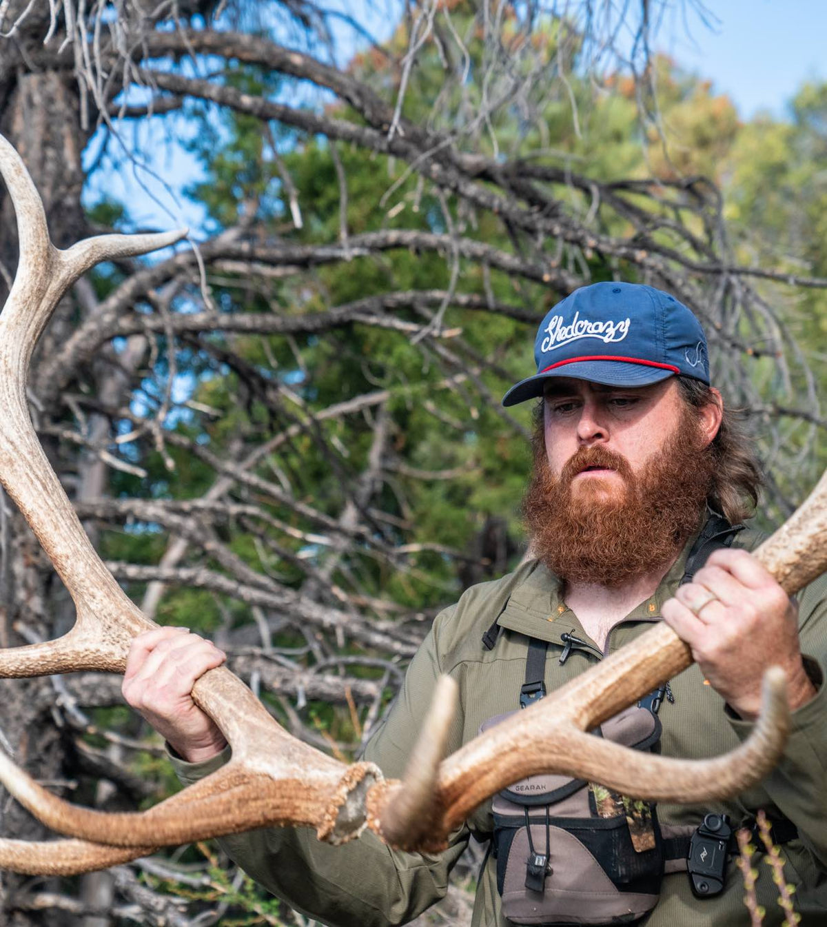 Blue "Shedcrazy" cap with red stripe worn by a man holding elk antlers.