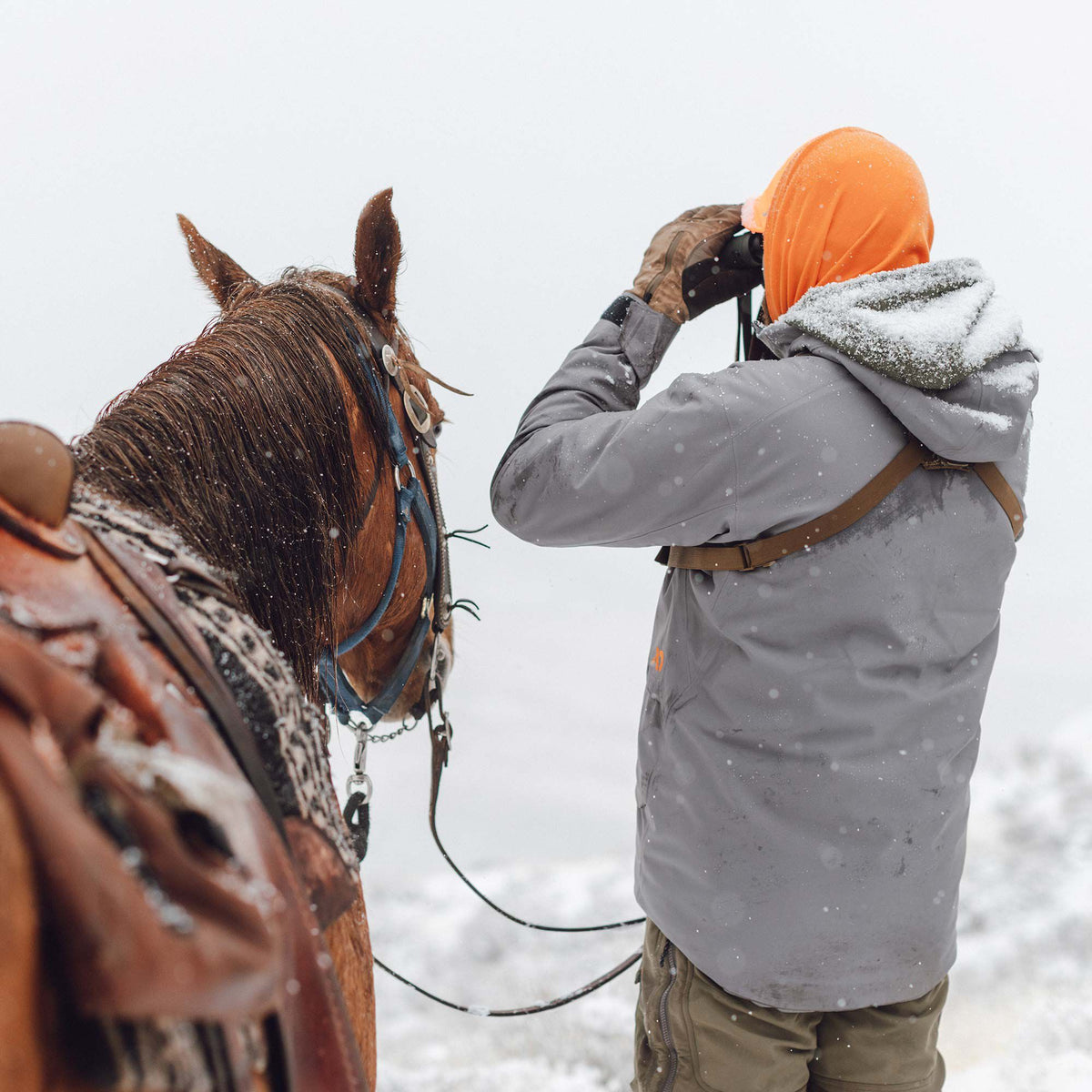 Gray hooded jacket, lightly dusted with snow, worn by a person from behind with a brown binocular harness over it, standing next to a saddled horse.