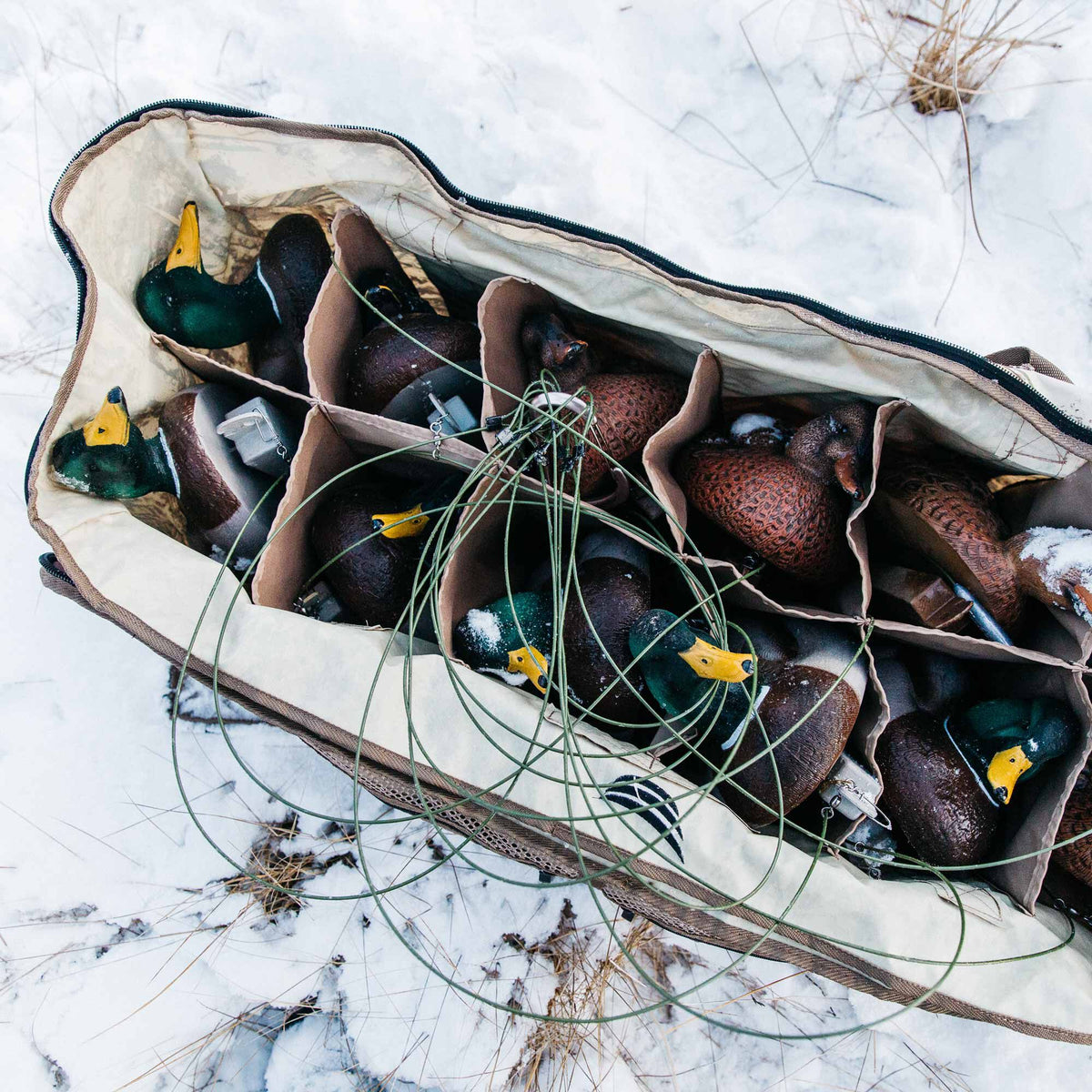 Tan partitioned decoy bag filled with brown and green mallard duck decoys and green decoy lines, sitting in snow.
