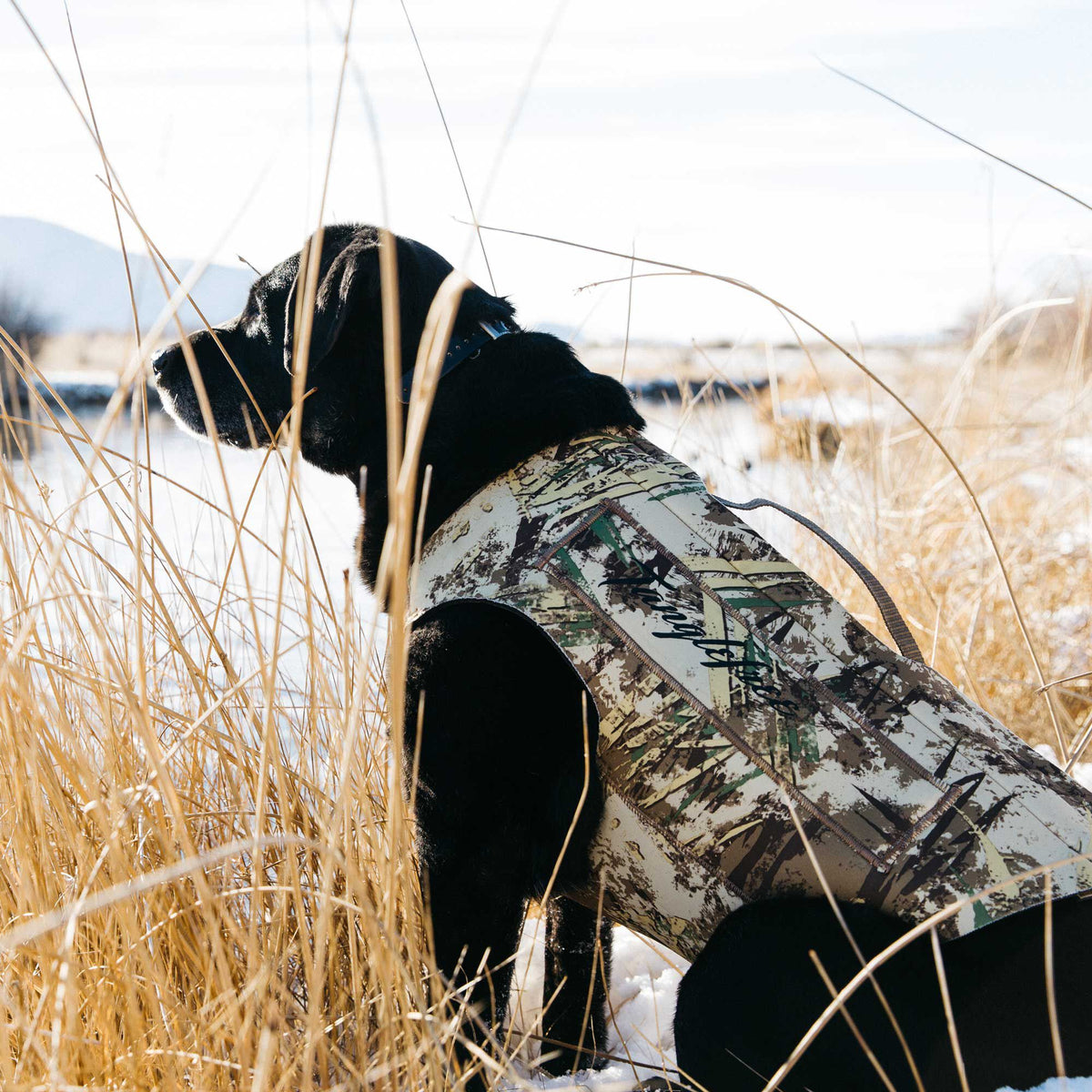 Camouflage dog vest in shades of green, brown, and tan with a "Tanglefree" logo, worn by a black dog in a snowy field.