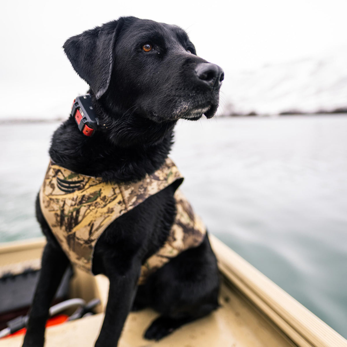 Camouflage dog vest with a wave-like logo, worn by a black Labrador with a GPS collar, sitting in a boat.