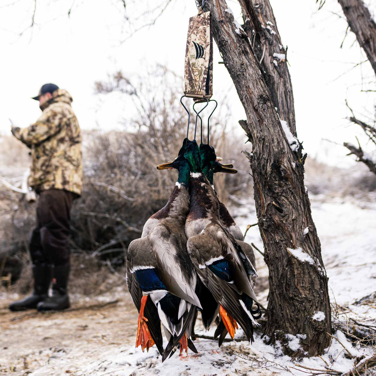 A camouflage game strap with a black logo holds four mallard ducks by their orange feet, displaying iridescent green heads and blue wing patches, against a snowy outdoor background.