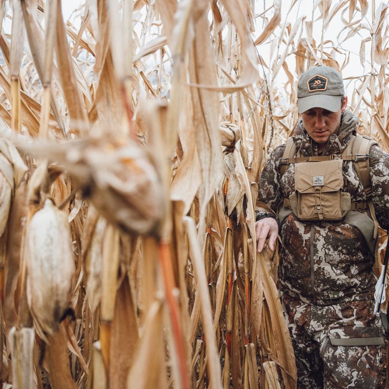 Tan binocular harness on a man wearing camouflage hunting gear in a cornfield.