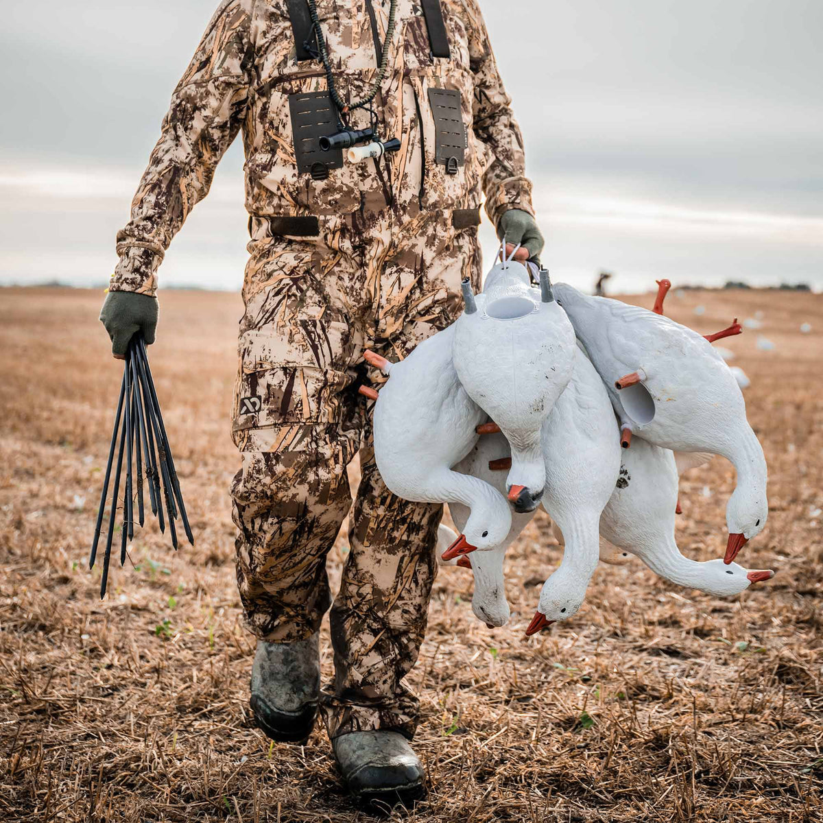 Hunter in camouflage carrying several white goose decoys with orange beaks and feet, and a bundle of black decoy stakes, across a dry field.