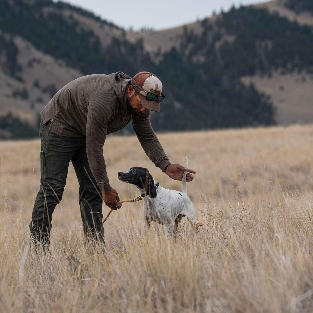 Man training a pointing dog in the field with mountains in the background