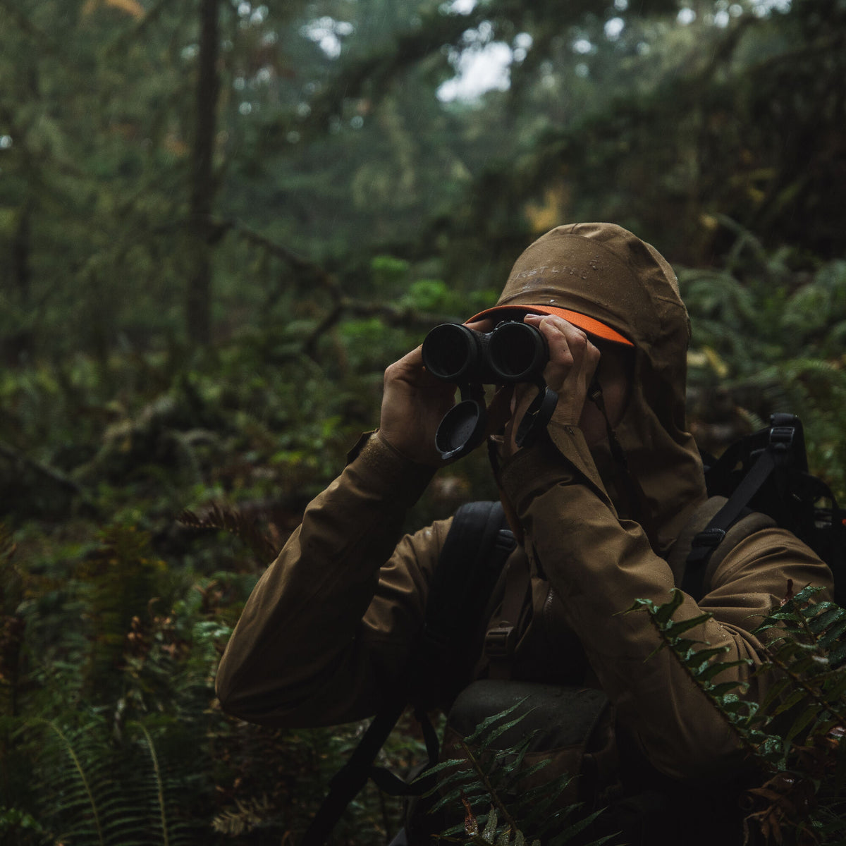 A person in a tan hooded jacket and orange-brimmed cap looks through black binoculars in a rainy forest.