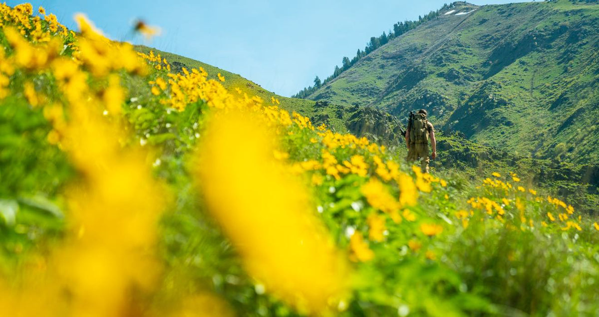 Olive green tactical backpack with rifle on hiker in field of yellow wildflowers.