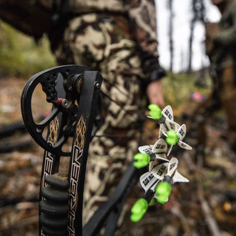 Black compound bow with gold accents and neon green fletched arrows.