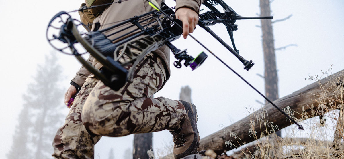 Black compound bow with quiver, arrows, and purple sight, held by a hunter.