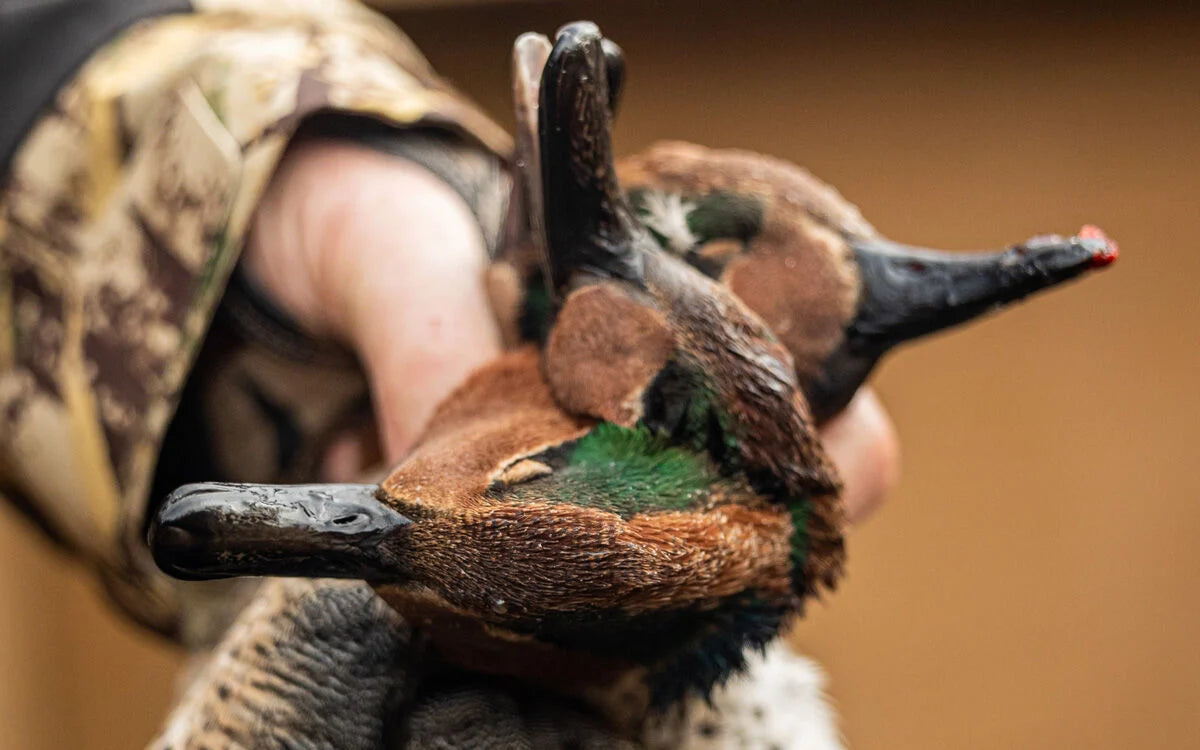 Two brown and green ducks held by a hunter, one with blood on its black bill.