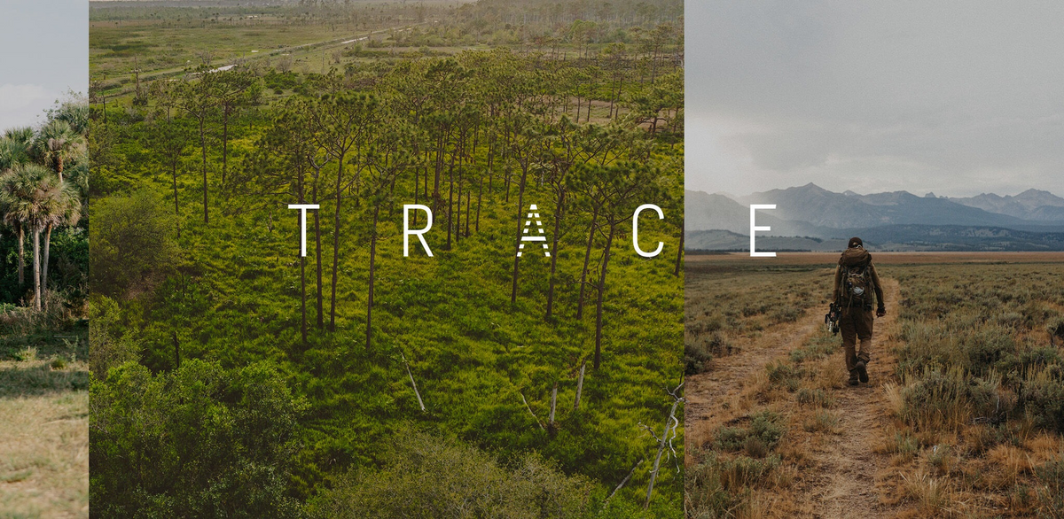 "TRACE" text spans green forest and a hiker on a path towards mountains.
