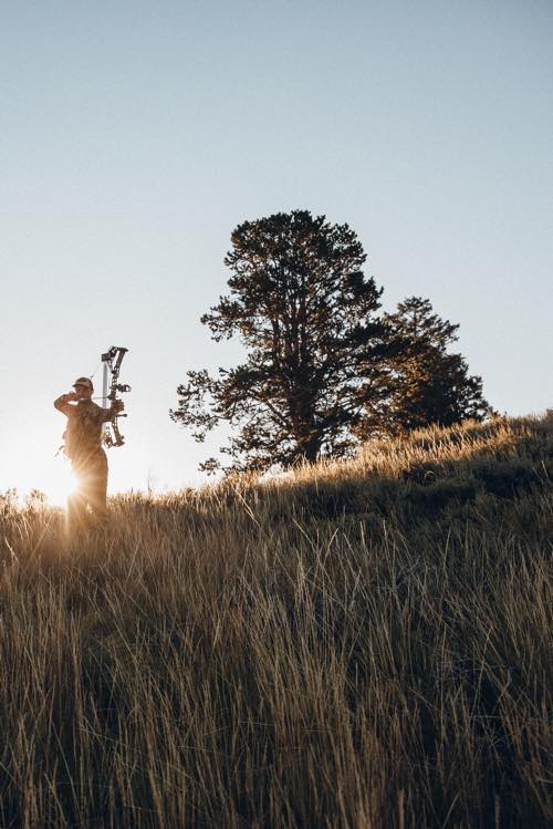 Black compound bow held by a hunter, backlit by sun on a grassy hill.