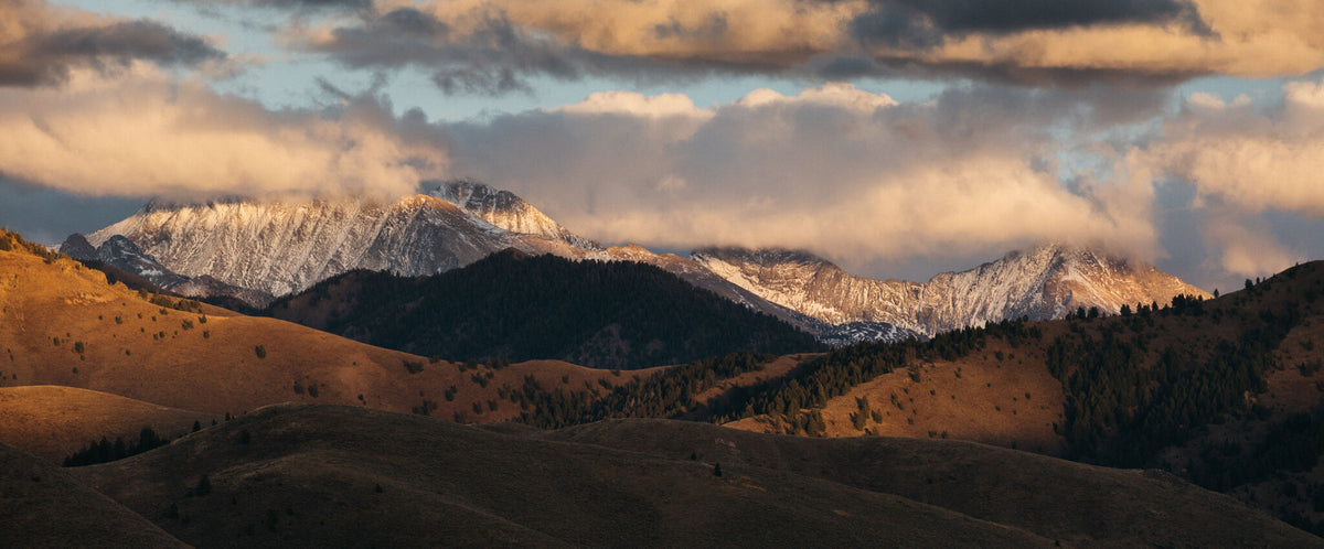 Golden hills, pine trees, and snow-capped mountains under warm, cloudy sunset.