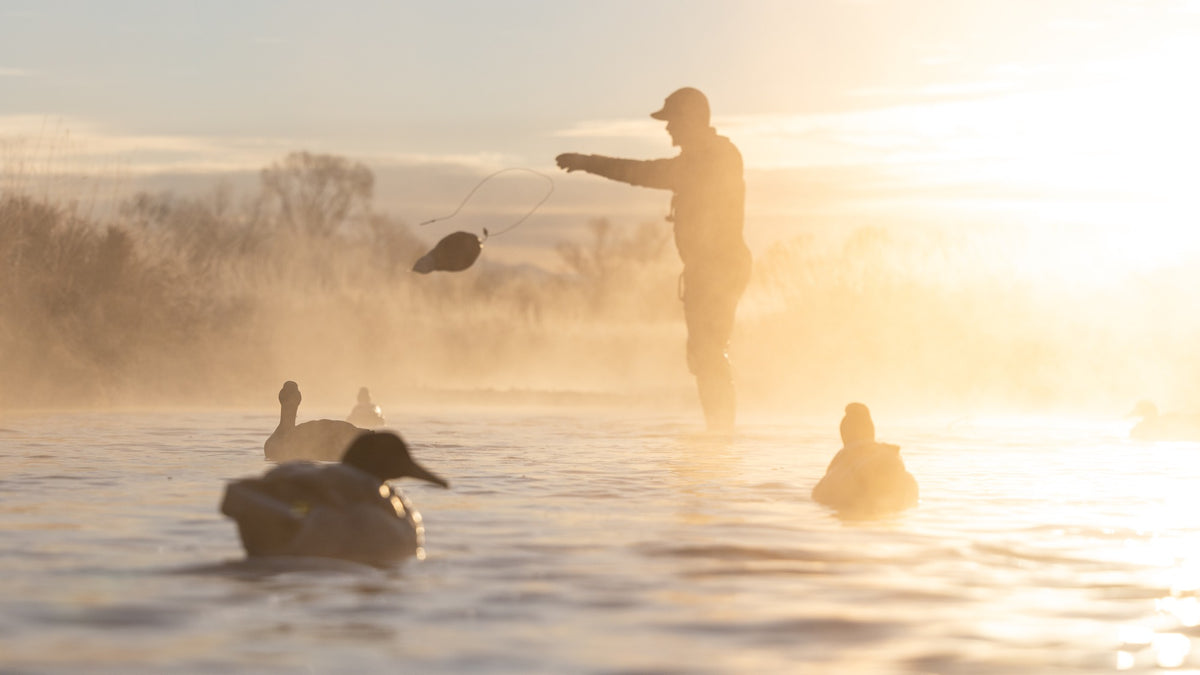 Dark duck decoys on misty water with a hunter casting in golden light.