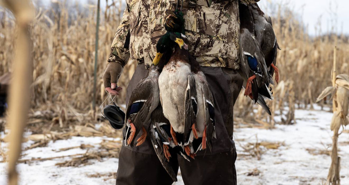 Camo-wearing hunter holds several dead green-headed mallards and ear muffs.