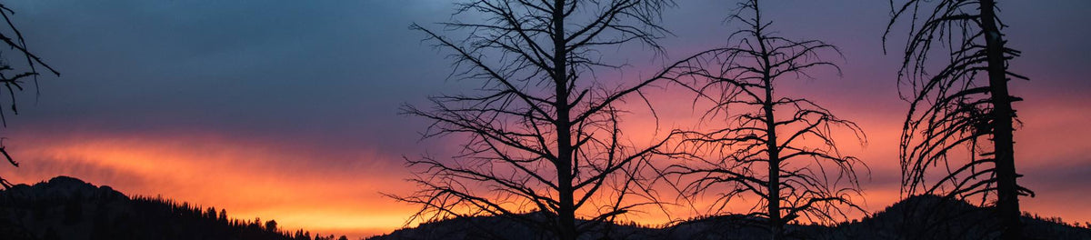 Vibrant sunset landscape with bare trees and hills silhouetted against orange and purple sky.