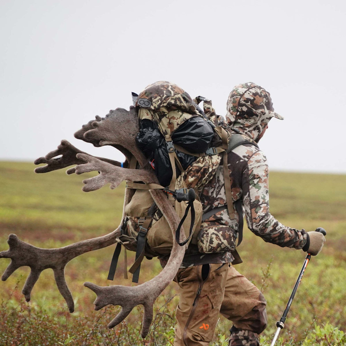Large multi-terrain camouflage hunting backpack with tan accents, securely holding a caribou antler rack.