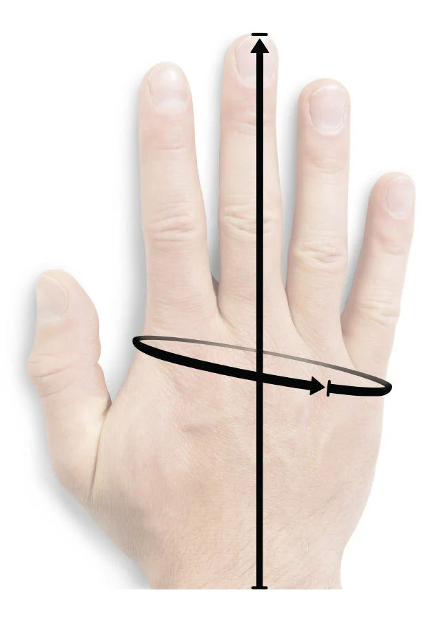 Light-skinned hand with black lines indicating finger length and hand circumference.