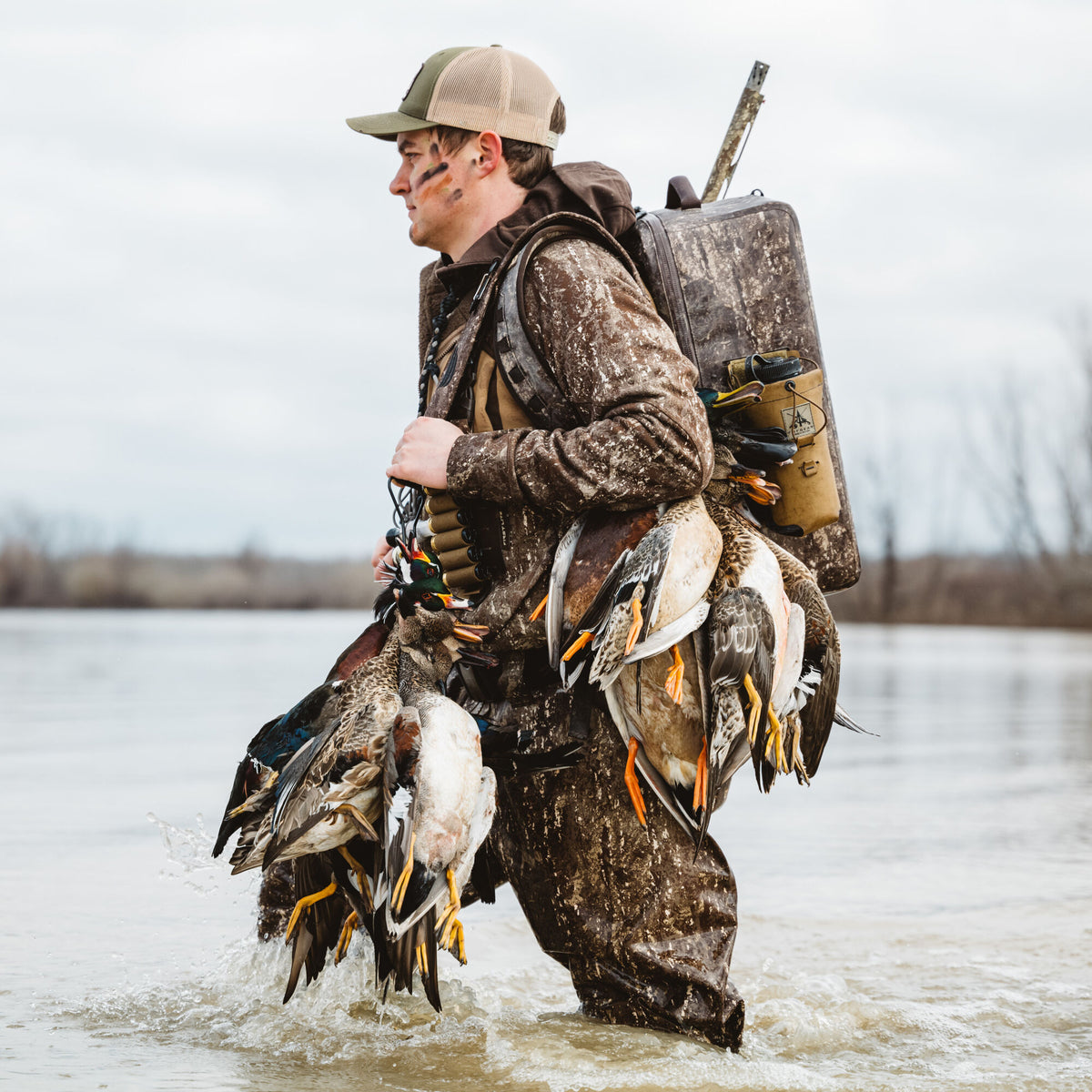 A duck hunter in brown camouflage gear, with a green and tan hat, wades through water carrying harvested ducks and a shotgun strapped to a camo backpack.