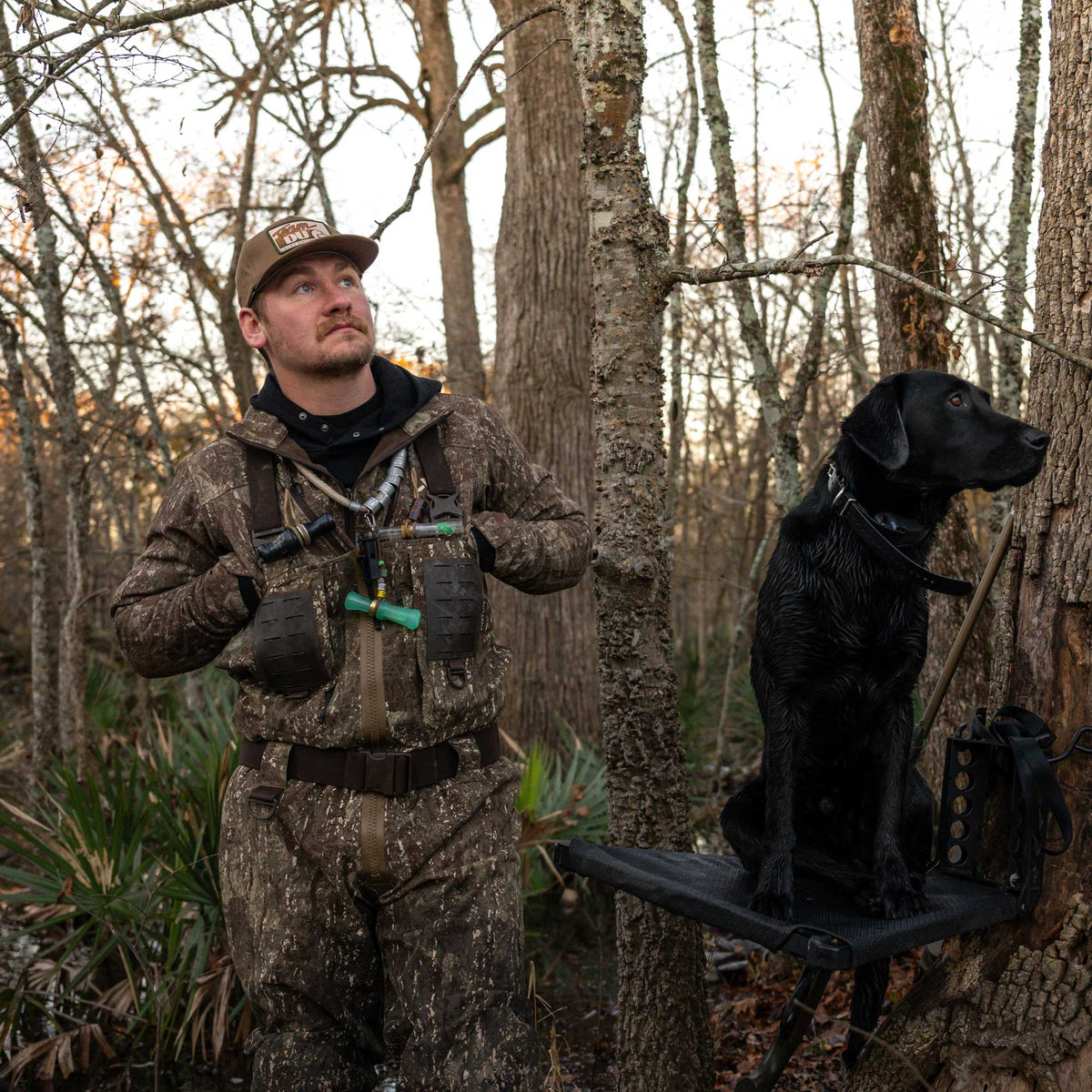 A man wears a brown and green camouflage hunting wader with a chest rig holding duck calls, standing beside a wet black Labrador retriever on a black tree-mounted dog stand.