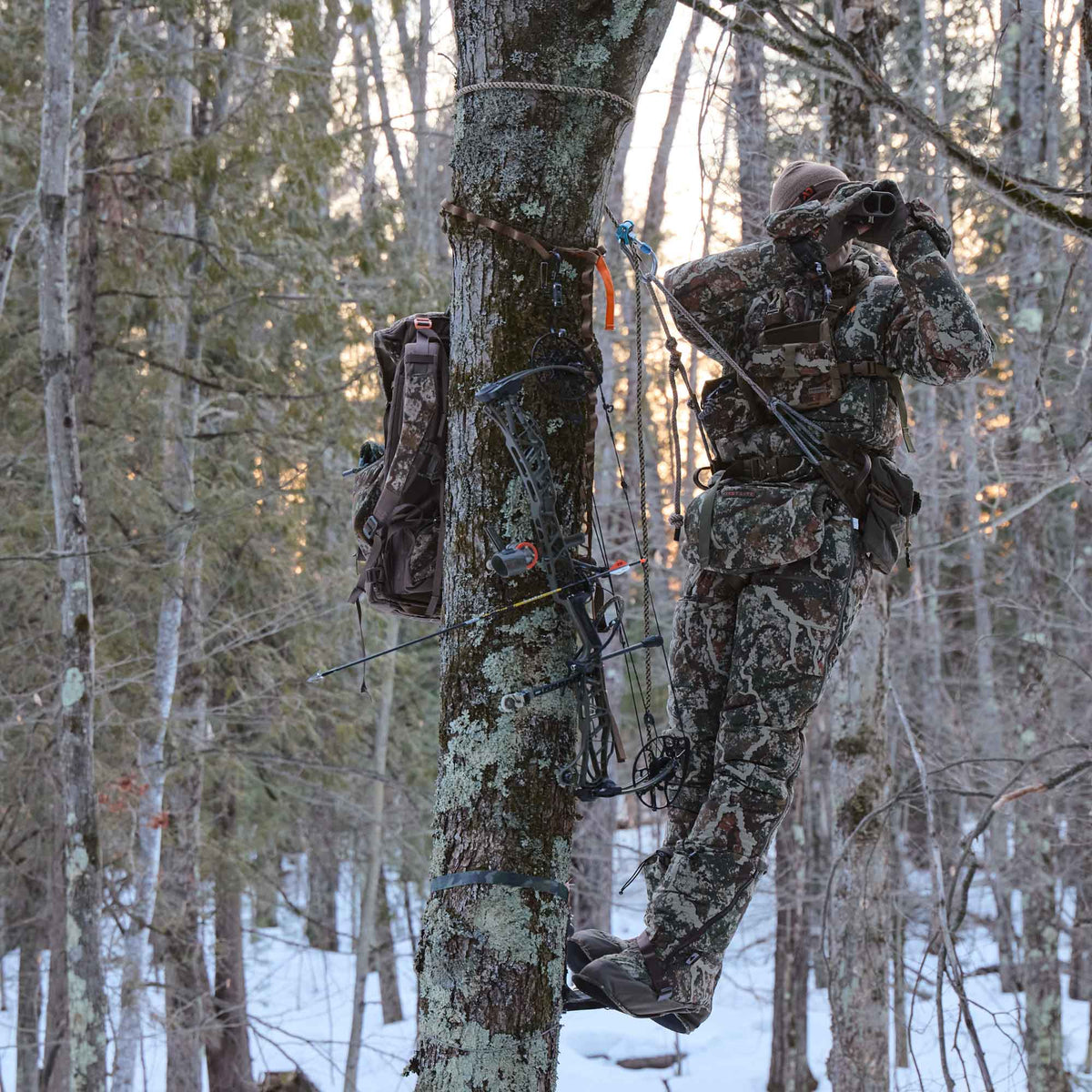 Man in a forest up on a tree using binoculars and wearing camo jacket and camo pants.