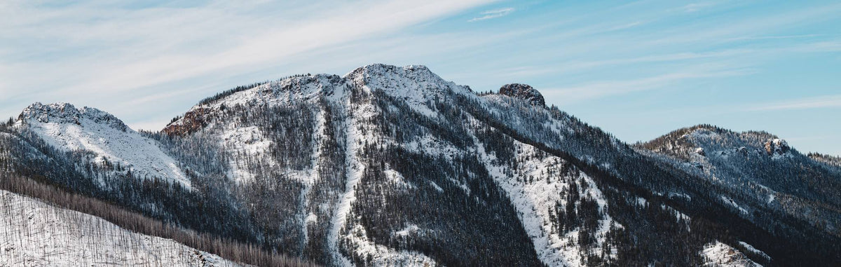 Snow-covered mountain range with dense evergreen forests under a blue sky.