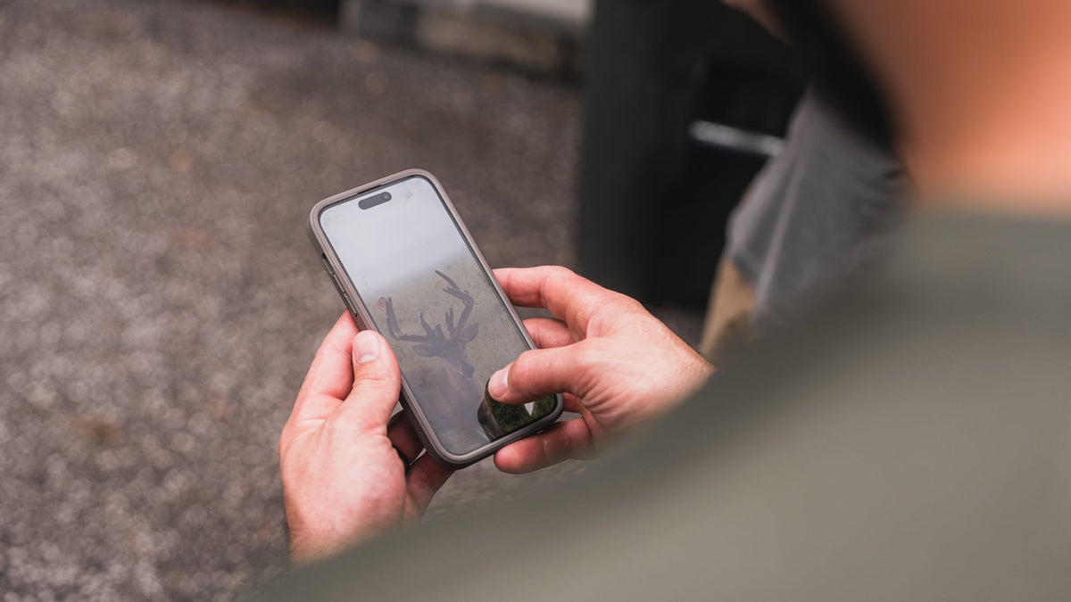 Person holds dark grey smartphone displaying a buck silhouette on screen.