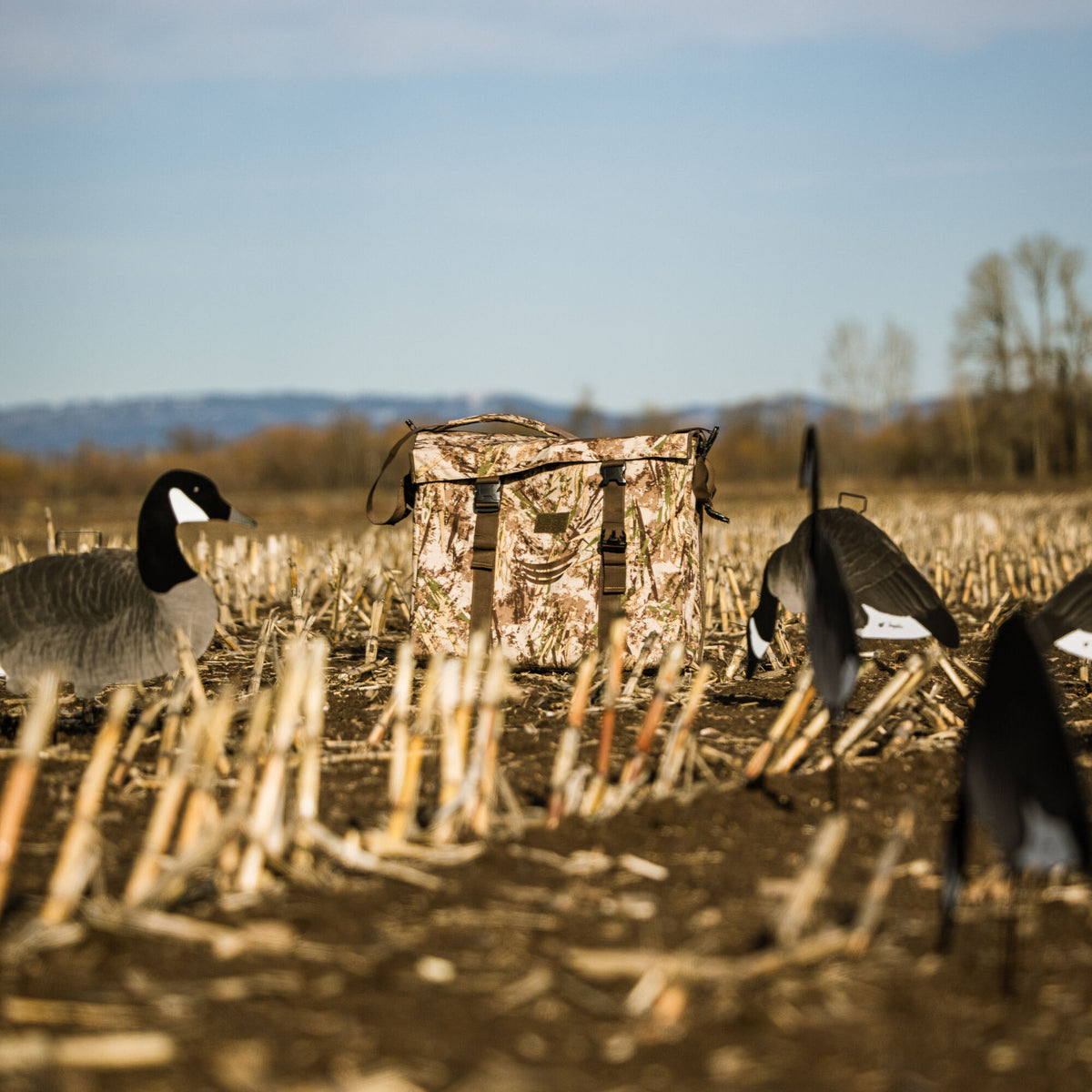 Light camouflage decoy bag with two front buckles and a shoulder strap, surrounded by goose decoys.