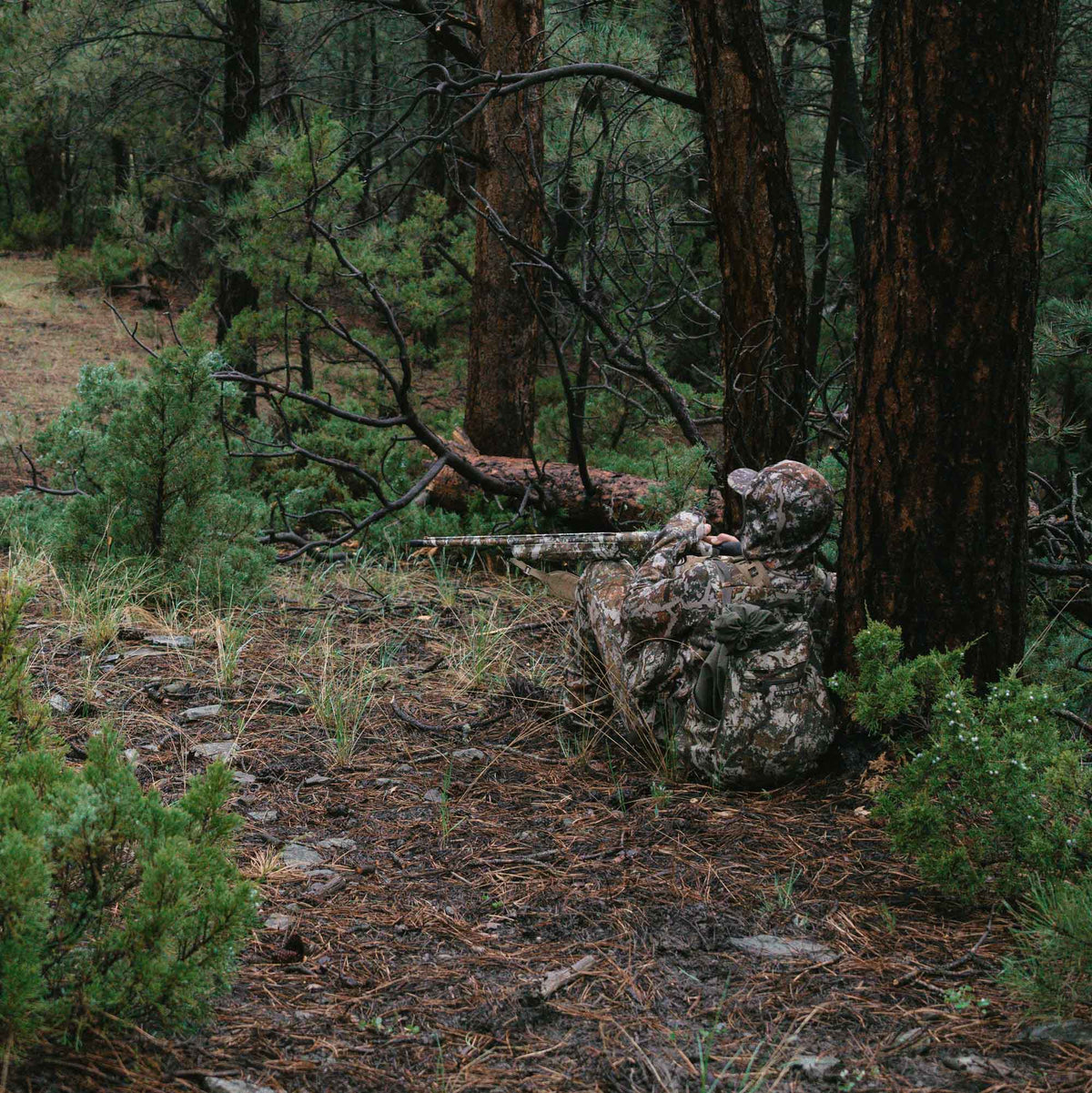 A person in a multi-terrain camouflage hunting suit and cap lies on the forest floor, aiming a rifle.