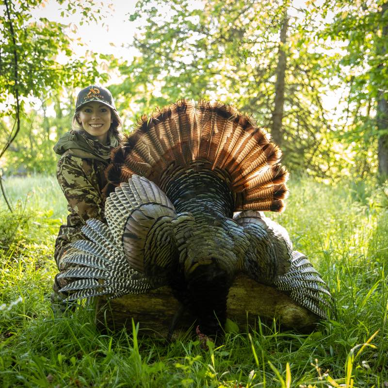 Smiling woman in camo with large dark wild turkey, fanned brown tail backlit.