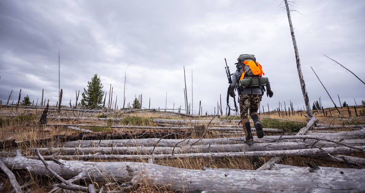 Grey hunting backpack with bright orange cover, rifle, and bedroll, carried through logs.