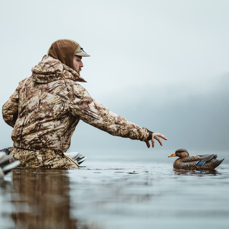 Hunter in hooded marsh camouflage jacket and waders reaches for a duck.