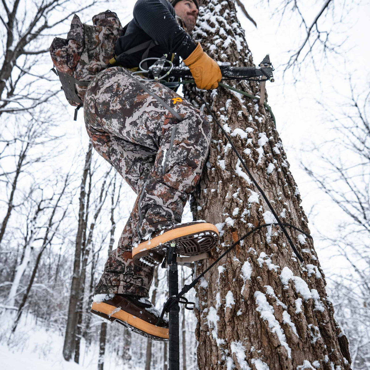 Man strapped up in a tree wearing black shirt, orange gloves and camo pants.