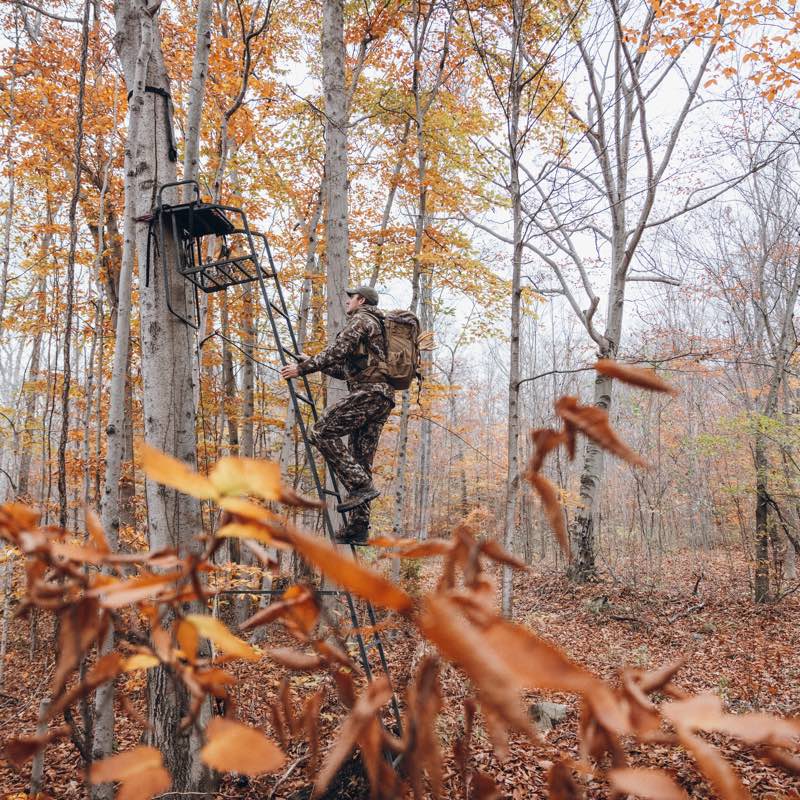 Matte black ladder tree stand attached to a tree, with a platform.