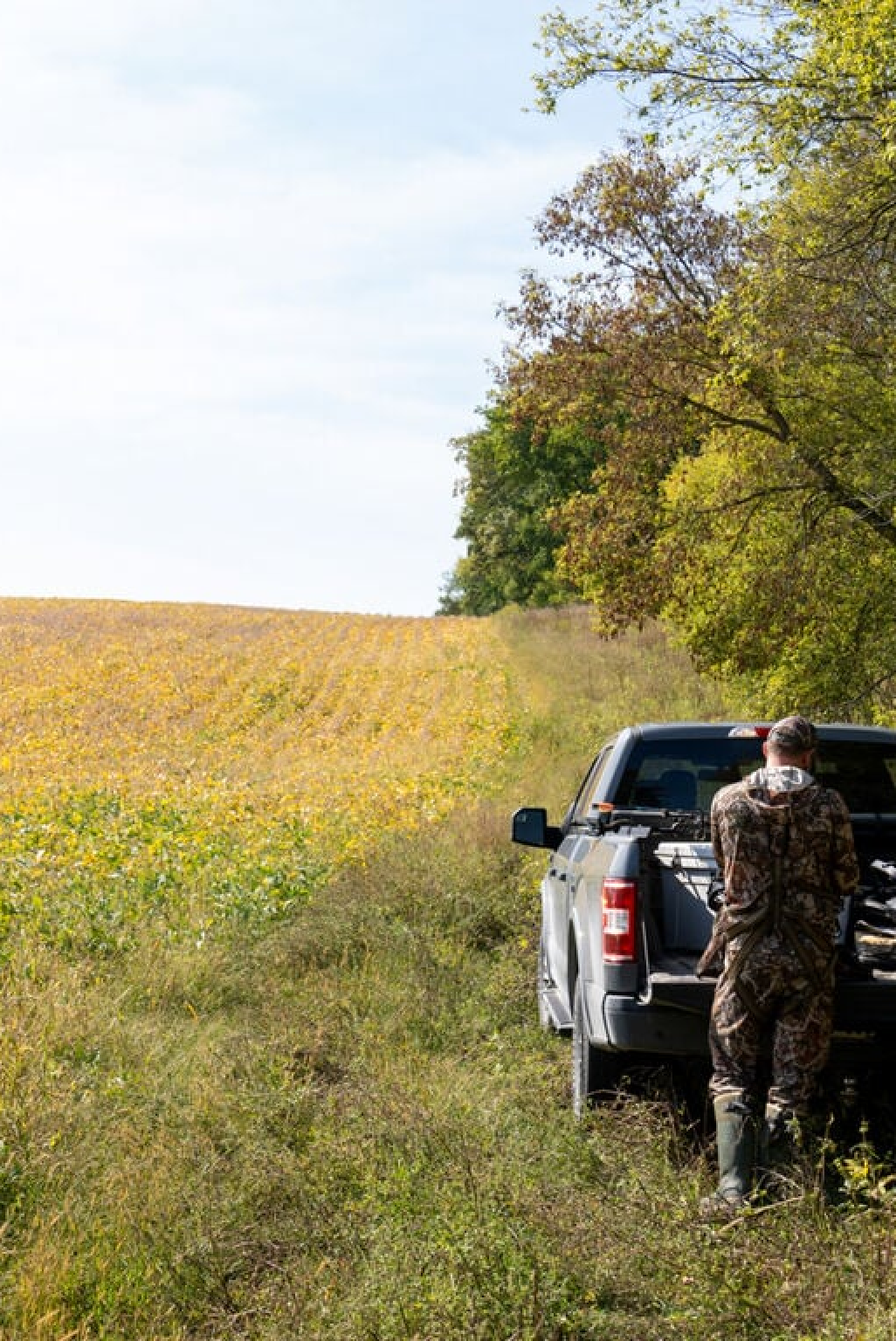 Camo-clad hunter loading bow into dark gray pickup truck bed by a golden field.