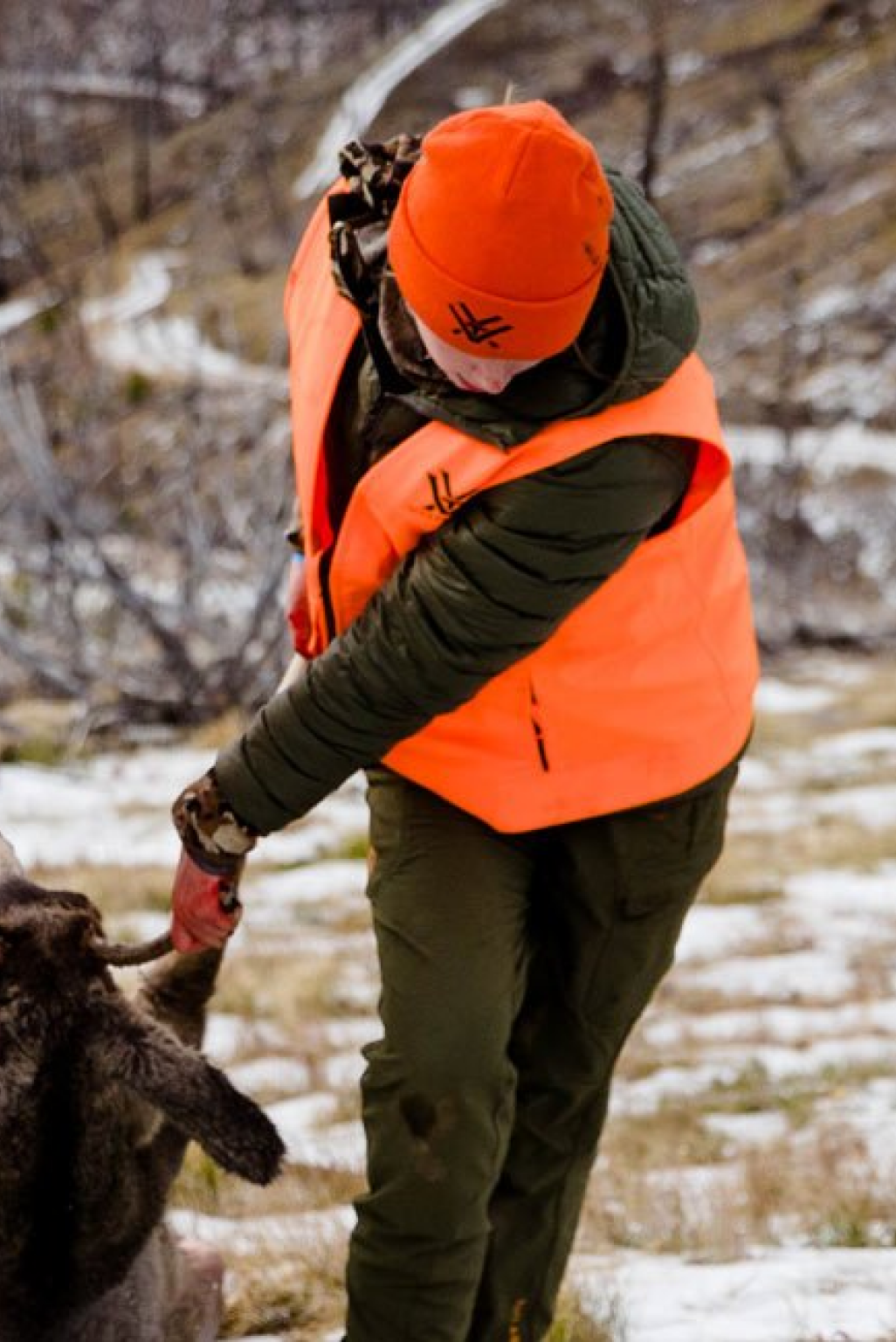 Orange Vortex high-vis beanie and vest, dark green jacket and pants worn by hunter.